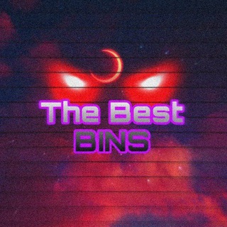 Telegram group profile photo for TheBestBINS