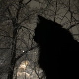Telegram profile photo for 闇深