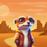 Telegram profile photo for MEERKAT|SOLANA