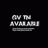 Telegram profile photo for TN/GV 虛擬帳戶經銷商