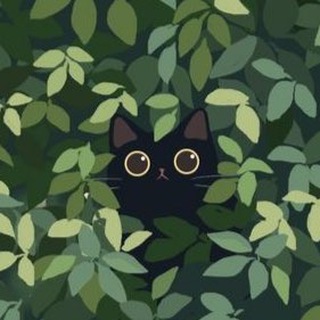Telegram profile photo for котике маи котике
