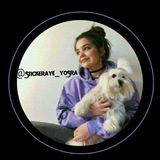 Telegram profile photo for -ѕᴛɪᴄᴋᴀᴍ-