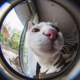 Telegram profile photo for надо смотреть