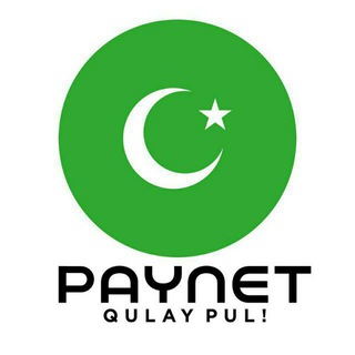Telegram profile photo for Paynet