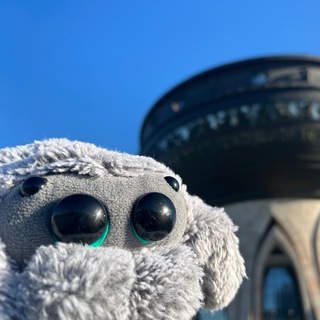 Telegram profile photo for Полевой канал