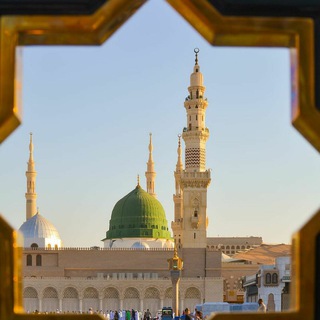 Telegram profile photo for Sayfulloh Nosir — صفحة سيف الله ناصر