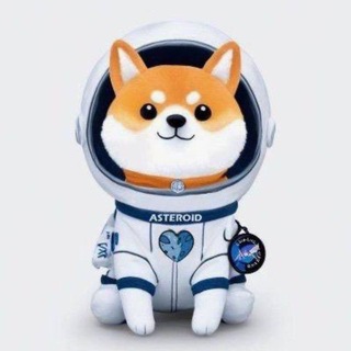 Telegram profile photo for Asteroid Shiba CTO - $ASTEROID