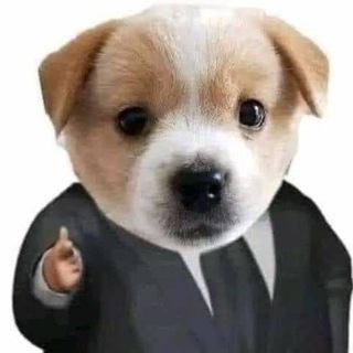 Telegram profile photo for ☄️собакрун