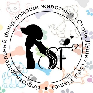 Telegram profile photo for Фонд помощи животным"Огонь души"🐾