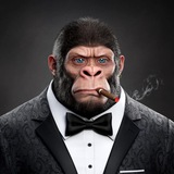Telegram profile photo for Business Daddies News