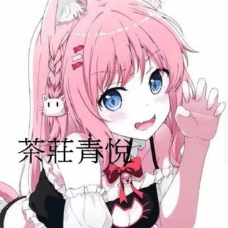 Telegram profile photo for 青悅醬 新竹地區