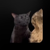 Telegram profile photo for на куа это всё