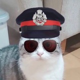 Telegram profile photo for こまる