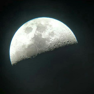 Telegram profile photo for باغ نقرهای