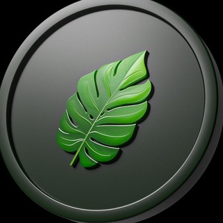 Telegram profile photo for Swing DAO - Welcome to The Jungle
