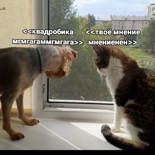 Telegram profile photo for 🐩Серый волк🐕🦺