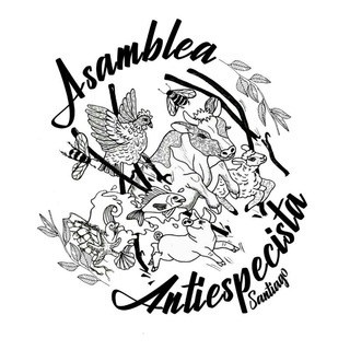 Telegram profile photo for Asamblea Antiespecista $tgo