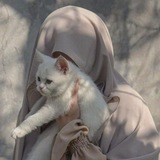 Telegram profile photo for وَاللَّيْلِ إِذَا سَــجَـىٰ🤎