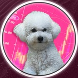 Telegram profile photo for 🐶 КОКСИК TON (CHANNEL)
