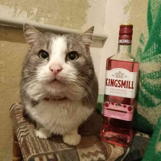 Telegram profile photo for с**а котята 😭