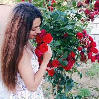Telegram profile photo for Сад и Цветы 🌺