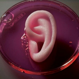 Telegram profile photo for Tissue Engineering (TISSUEHUB)