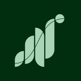 Telegram profile photo for airdrop
