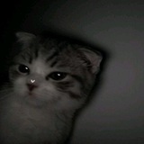 Telegram profile photo for - π€π’ππ πππ§ πππ€ππ’π«