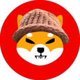 Telegram profile photo for shibwifhat - $SWIF