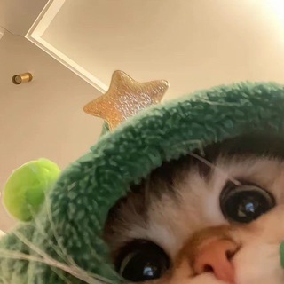 Telegram profile photo for 猎奇 吃瓜