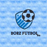 Telegram profile photo for ⚽️BORZ FUTBOL⚽️