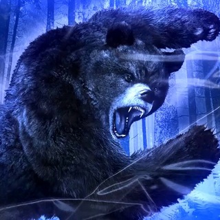 Telegram profile photo for Buriy Medved🐻 info