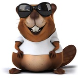 Telegram profile photo for отзывы
