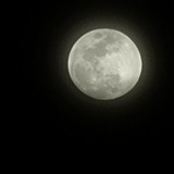 Telegram profile photo for Bell π Earning