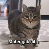 Telegram profile photo for Bu banget guys