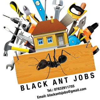 Telegram profile photo for Black Ants Jobs Uk