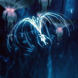 Telegram profile photo for *゚+𝙋𝘼𝙉𝘿𝙊𝙍𝘼*゚+