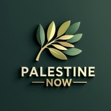 Telegram profile photo for 🔻PALESTINE NOW🔻