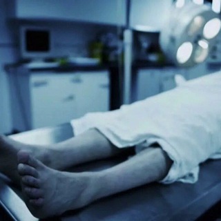 Telegram profile photo for Morgue / Mortuary / Autopsy