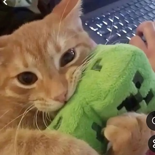 Telegram profile photo for мне так кажется