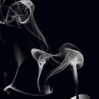 Telegram profile photo for ℓαѕт ℓσνє