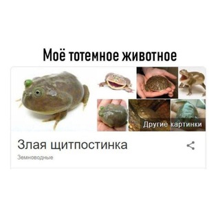 Telegram profile photo for стоматология им. siivekässii