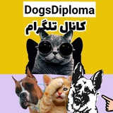 Telegram profile photo for dogsdiploma