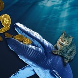 Telegram profile photo for КриптоКиты :)