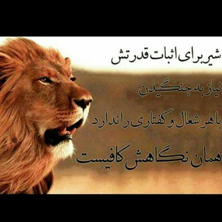 Telegram profile photo for باشگاه فوتبال کیان⚽️