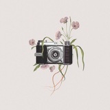 Telegram profile photo for photoalil