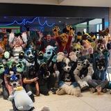Telegram profile photo for Level 2 Furmeet