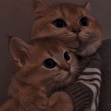 Telegram profile photo for RULES STAFF N TEAM ATLAS
