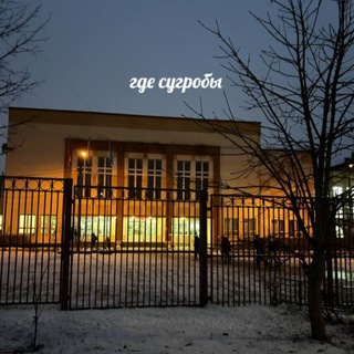 Telegram profile photo for в 32 школе любят