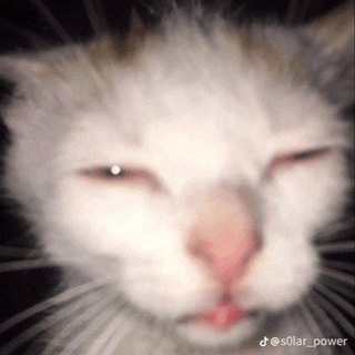 Telegram profile photo for ميمز بزون